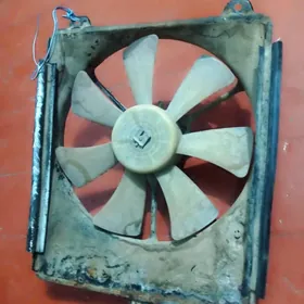 Radiyator wiltilyatory