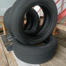 Kapsin Pakrişka 195-60-15