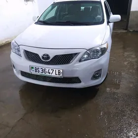 Toyota Corolla 2010