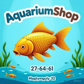 Хромис Красавец