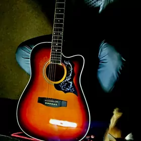 PAKET ELEKTRO FENLIN GITARA KO