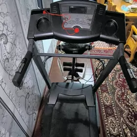 BEGAWOY DAROSKA ULISY