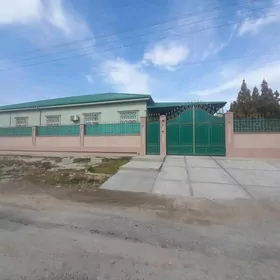 Anew Magtymguly 16Sotok Plan