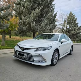 Toyota Camry 2019