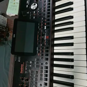 Korg Pa 1000
