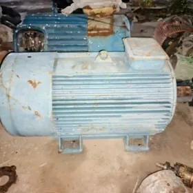 motor elektro dwigatel