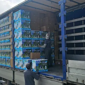 Suw filter hyzmaty mugut