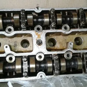 зафира галовка