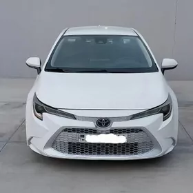 Toyota Corolla 2019