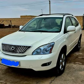 Lexus RX 330 2004