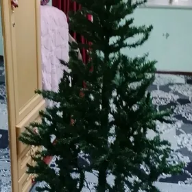 Täze ŷylyñ arçasy