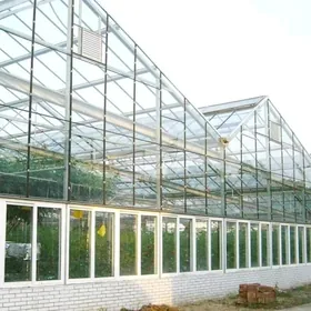 PARNIK SERA 50 GA SAYLYK YER