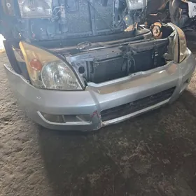 Prado 2006 kelte morda