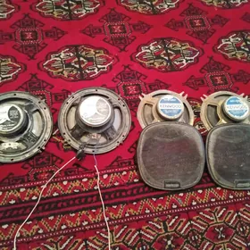 kalonka kenvord piyener