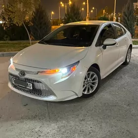Toyota Corolla 2020