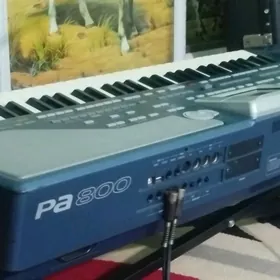korg pa800