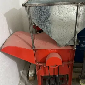 Çigit gabyk aýyrýan