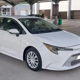 Toyota Corolla 2019