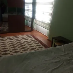 2 otagly 11mkr obmen eýesinden