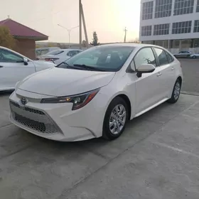 Toyota Corolla 2020