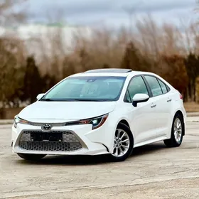 Toyota Corolla 2021