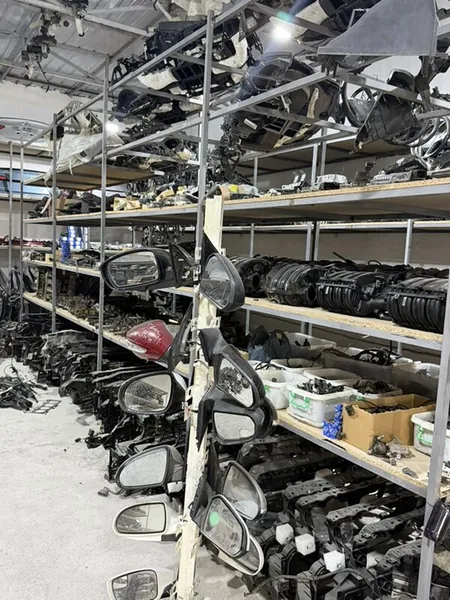 1000 Şay Kia Hyundai morda Gallery 8