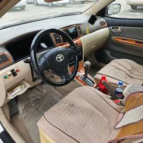 COROLLA FUL SALON MORDA