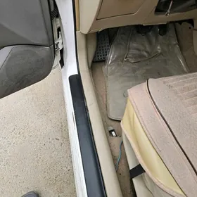 COROLLA SALONY MORDA