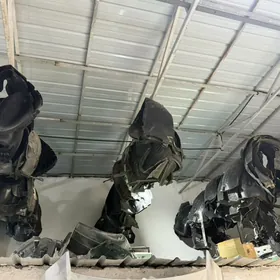 Podkrylnik we Zaşitalar