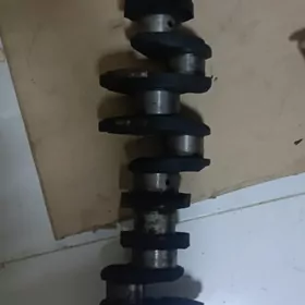 Kolen wal MTZ 12/21 N1