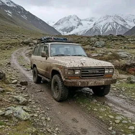 Toyota Land Cruiser 1989