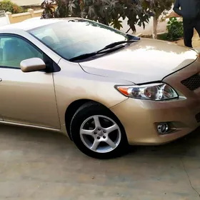 Toyota Corolla 2010
