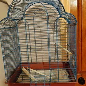 клетка для птиц