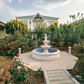 Anew Ahal koce kotte