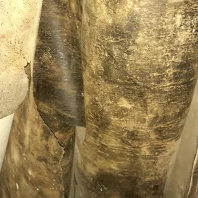 izalýatsiýa toll, толл