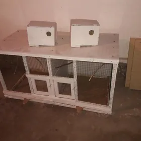 клетка для попугаев