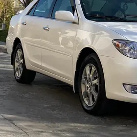 Camry Radnoy diska R16