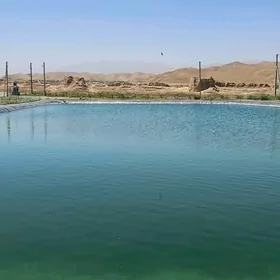 HOWUZ MEMBRAN DAMJA SUWLAMA