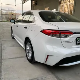 Toyota Corolla 2021