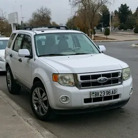 Ford Escape 2010