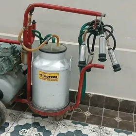 sygyr sagyan apparat