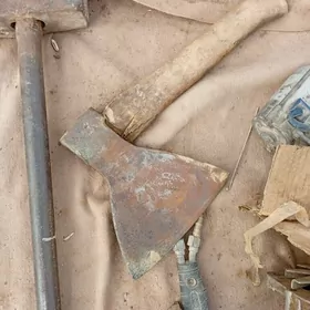 тапор палта