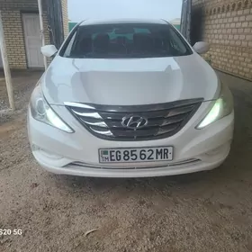 Hyundai Sonata 2010