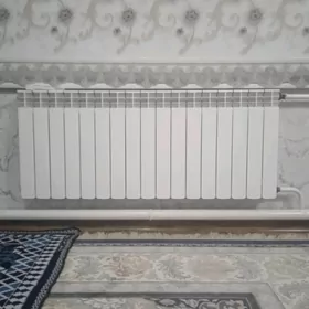 ATAPLENYA CEKMEK HYZMATY