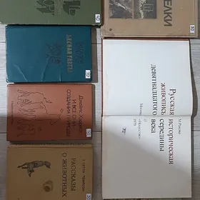 Книги, большой ассортимент