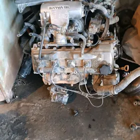 прада матор mator