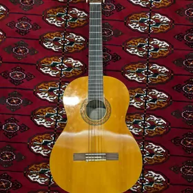 yamaha c40 gitara