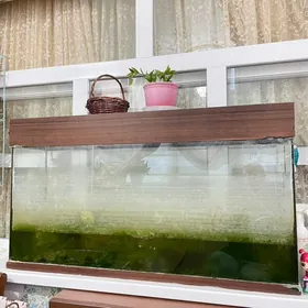 Аквариум Akwarium