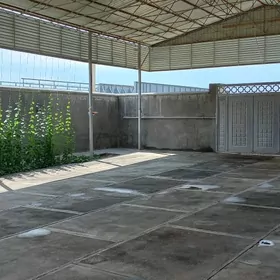 mary derya gyradaky daca