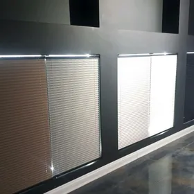 Jalýuz zalyuz jalyuz žalýuz